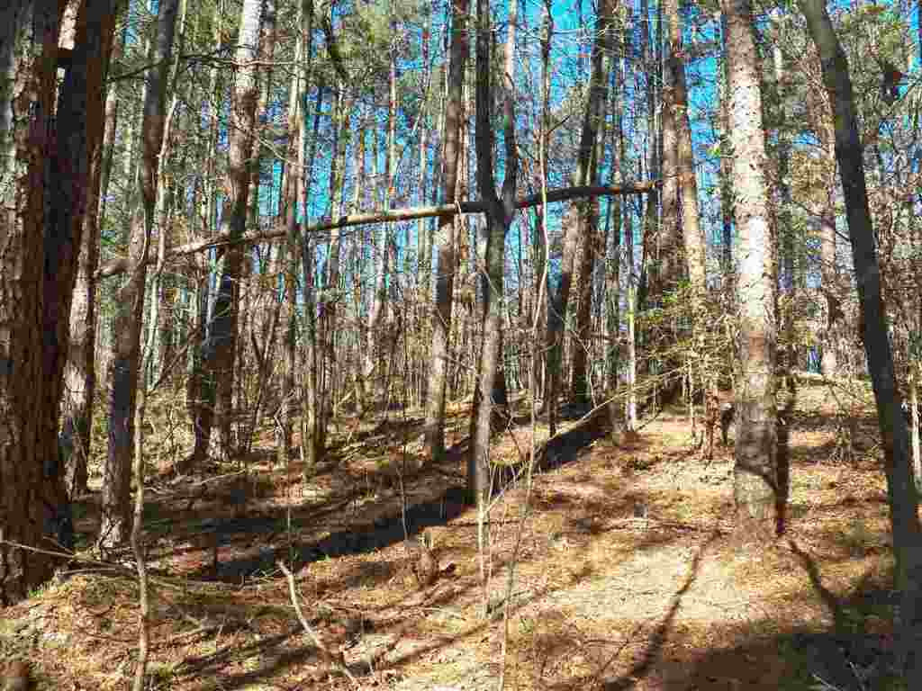 0 Austin Edwards Road Walhalla, SC 29691 - Photo 3 of 12 Gallery Image 3
