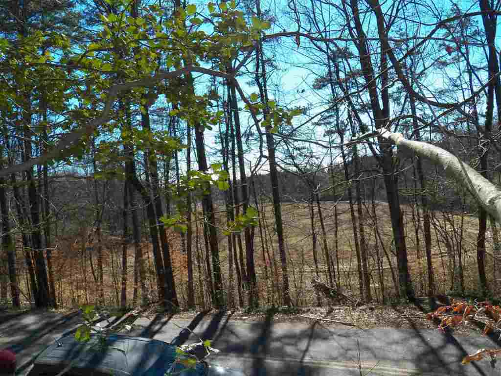 0 Austin Edwards Road Walhalla, SC 29691 - Photo 4 of 12 Gallery Image 4