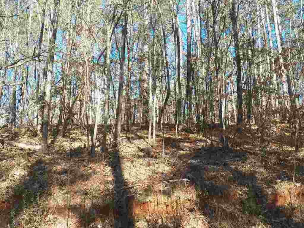 0 Austin Edwards Road Walhalla, SC 29691 - Photo 6 of 12 Gallery Image 6