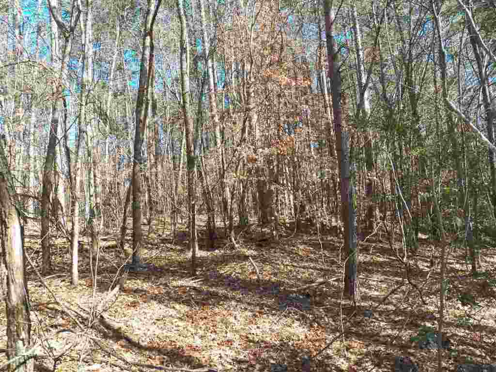 0 Austin Edwards Road Walhalla, SC 29691 - Photo 7 of 12 Gallery Image 7