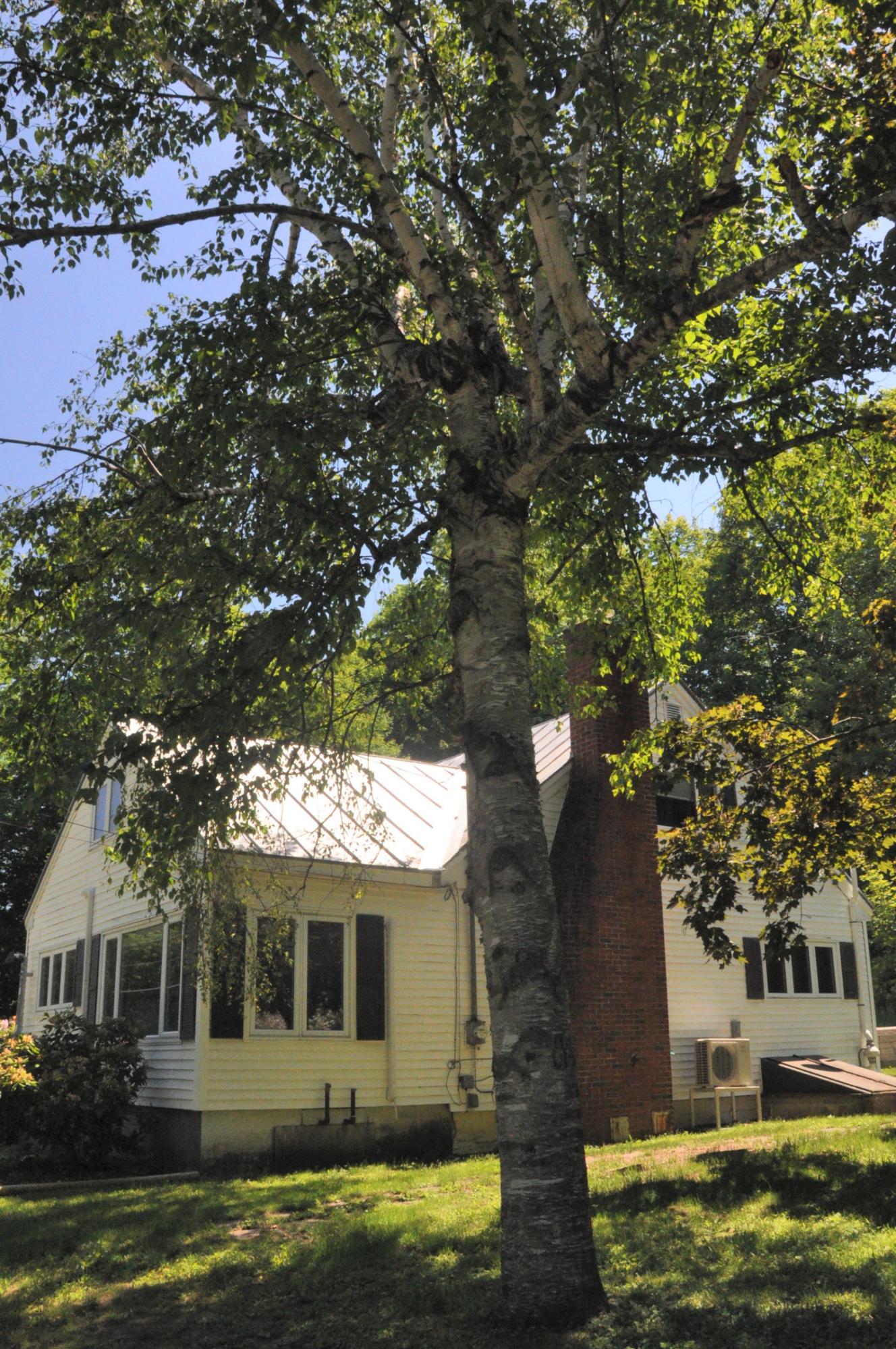 36 Prescott Road Manchester, ME 04351 - Photo 2 of 14 Birch Tree