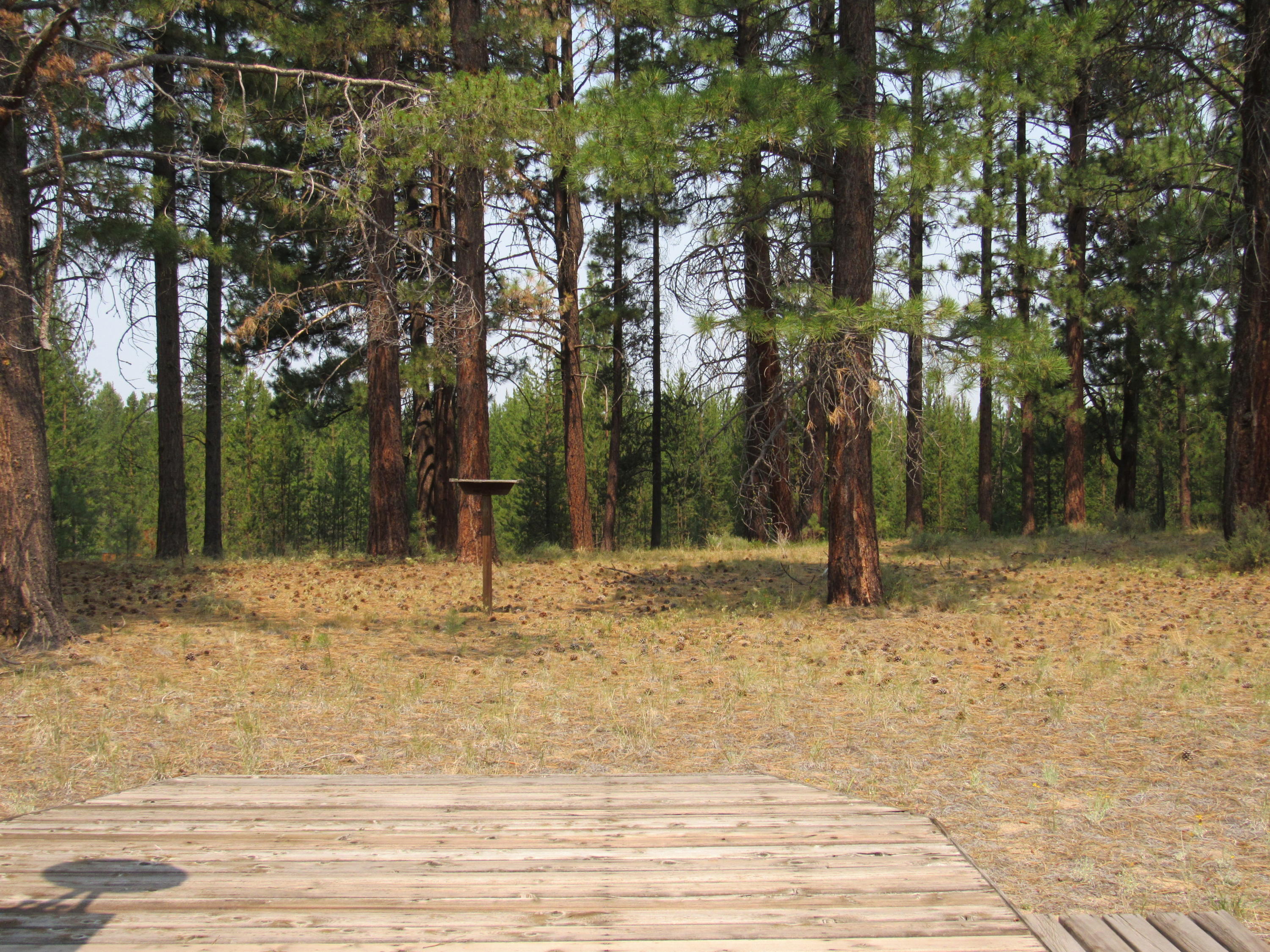 51582 Ash Road La Pine, OR 97739 - Photo 46 of 52 Back Yard from Deck 2Use