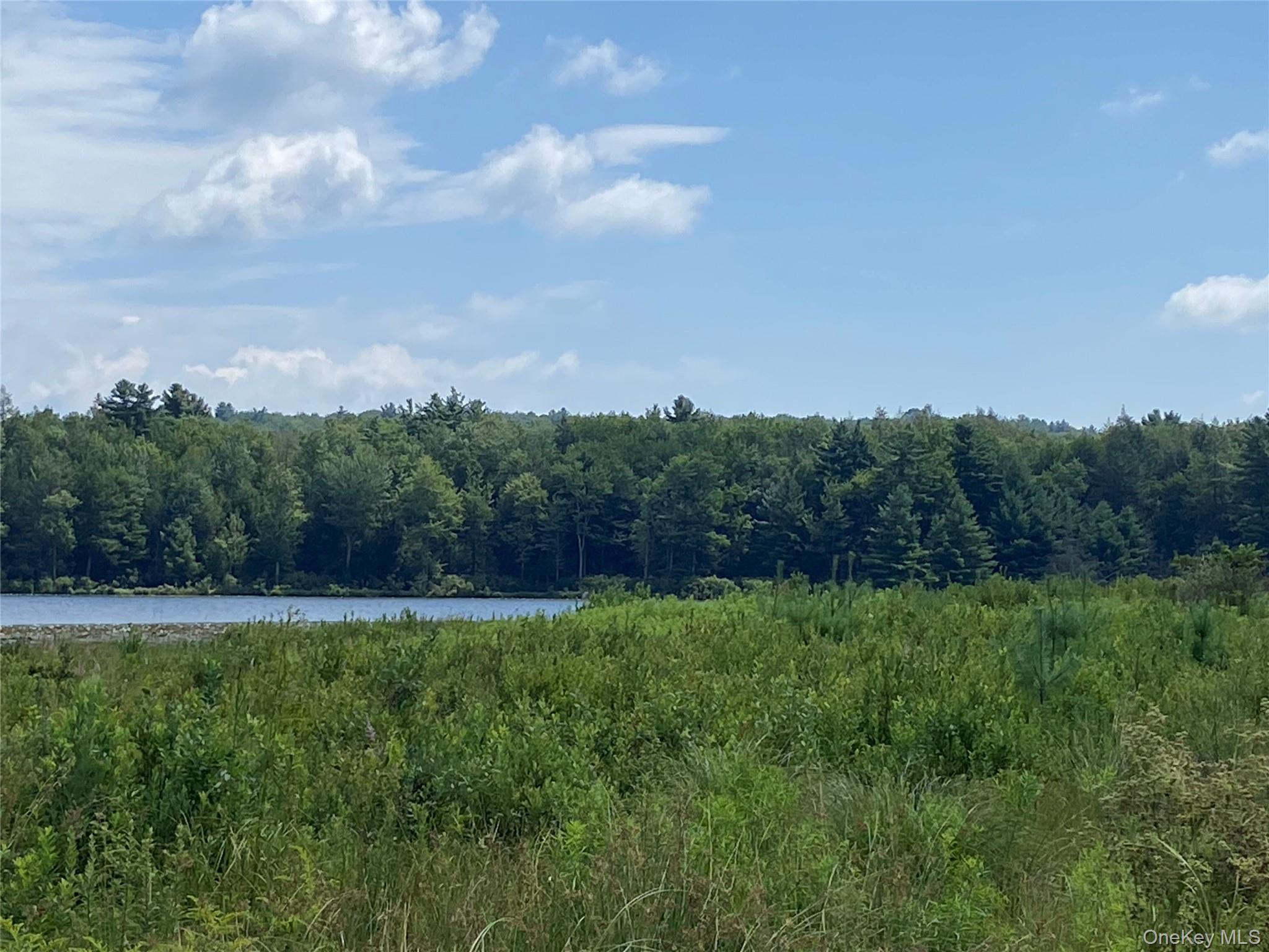 15 Bailey Lake Road Kiamesha Lake, NY 12751 - Photo 11 of 36 a view of an outdoor space and a yard