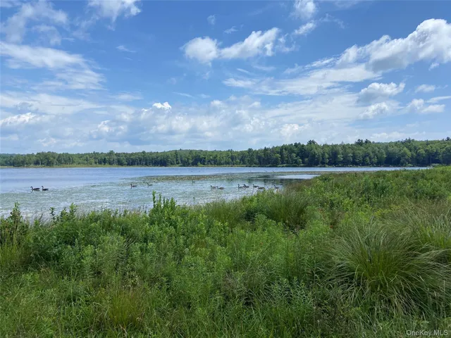 a view of a lake with houses in the back