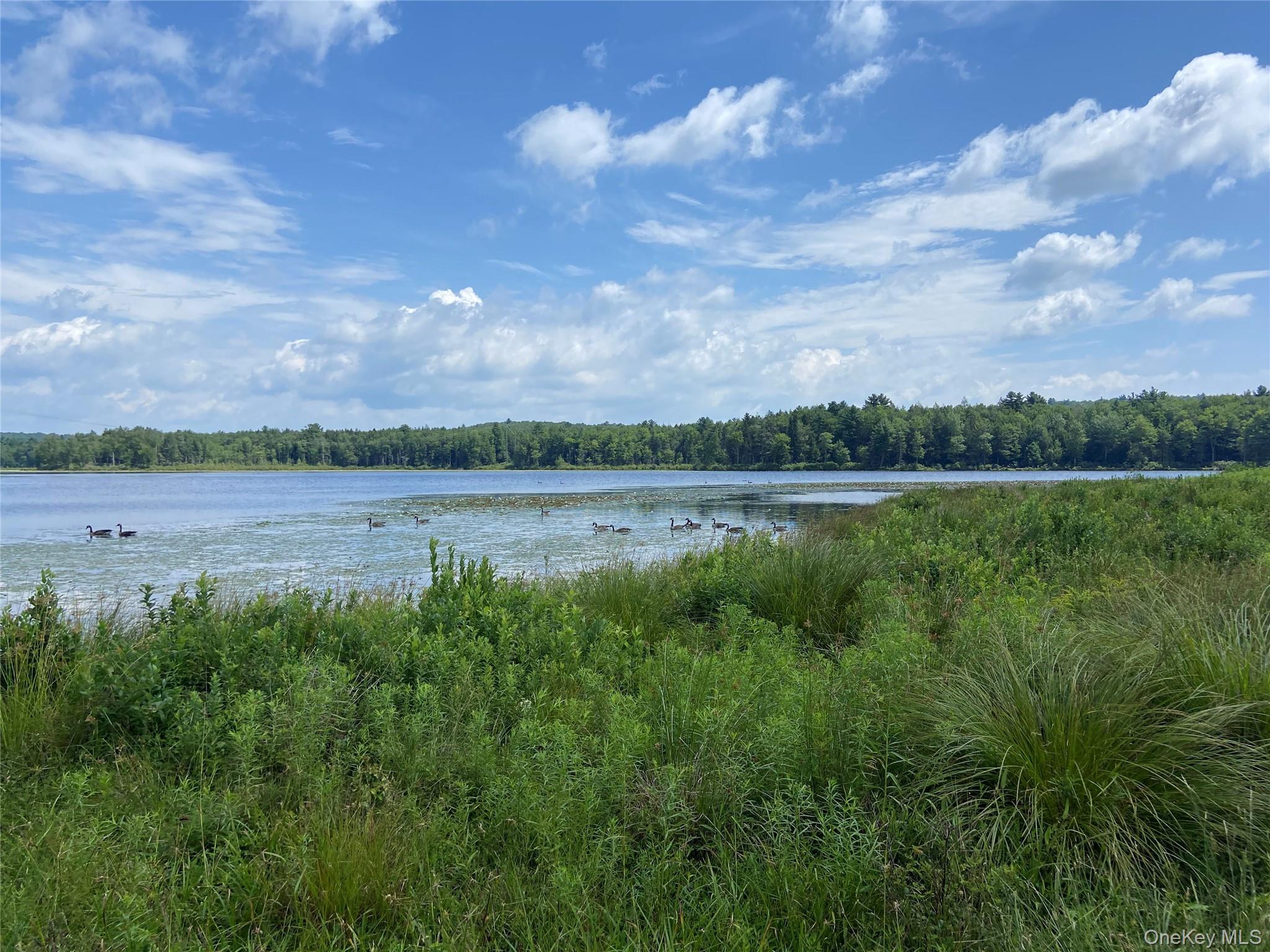 15 Bailey Lake Road Kiamesha Lake, NY 12751 - Photo 12 of 36 a view of a lake with houses in the back