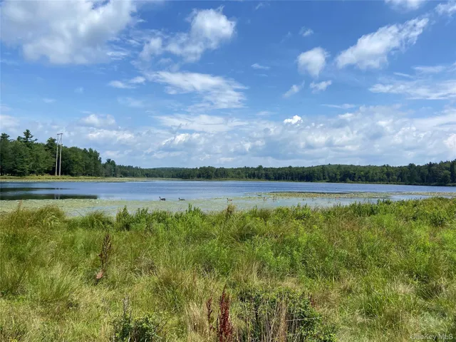 a view of a lake view