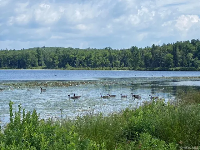 a view of a lake with houses in the back