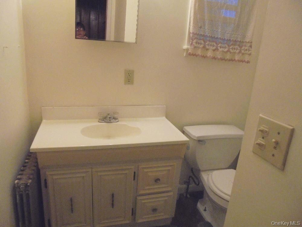 15 Bailey Lake Road Kiamesha Lake, NY 12751 - Photo 35 of 36 a bathroom with a sink a toilet and a mirror