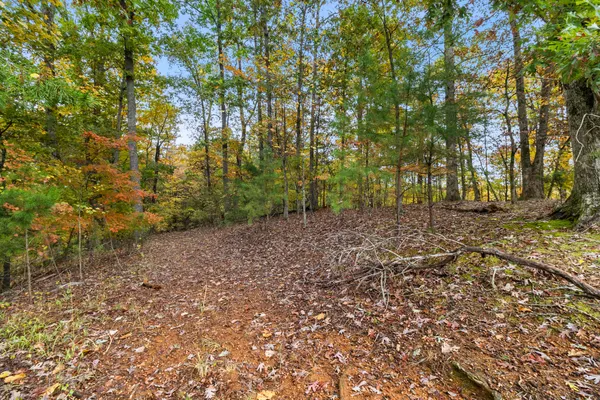 $1,294,000 | 549 Old Bacon Road Northeast, Charleston, TN 37310