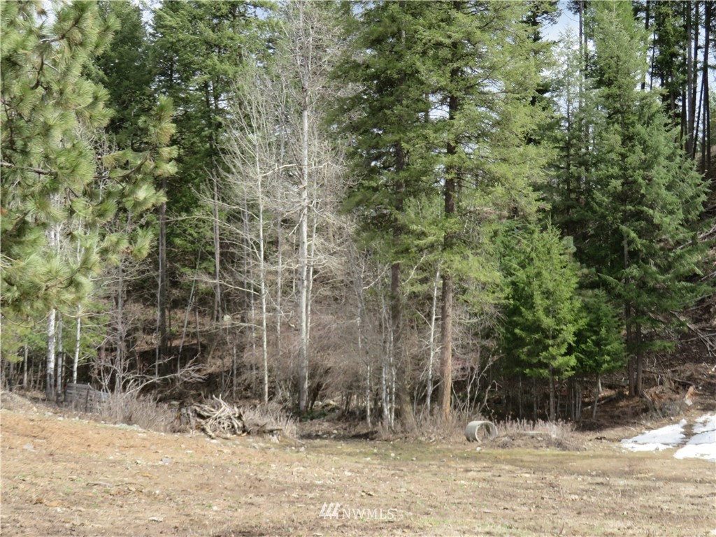 262 Klondike Road Republic, WA 99166 - Photo 21 of 21