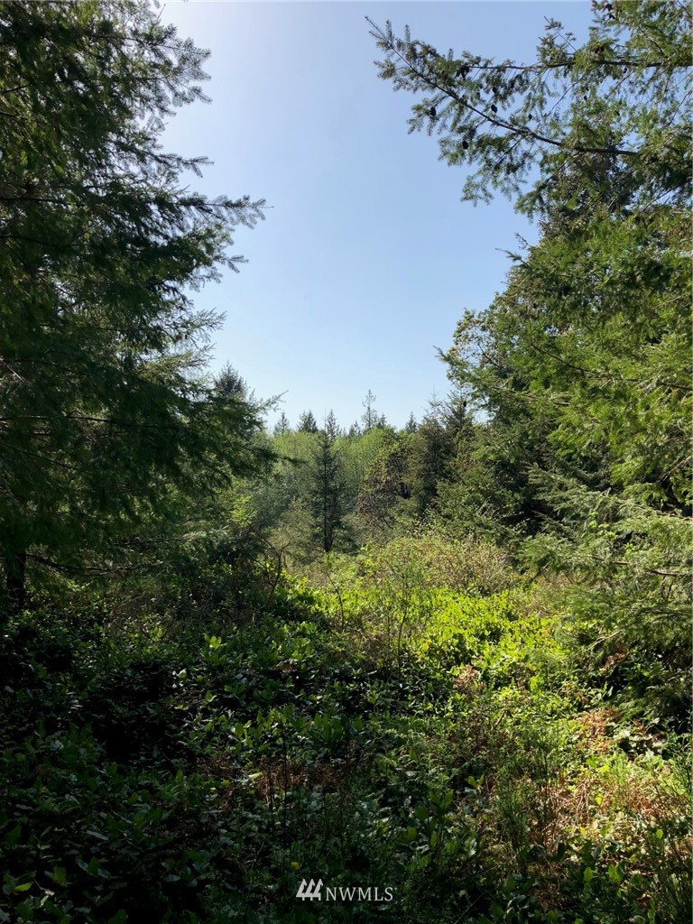 9706 Steffensen Road Anderson Island, WA 98303 - Photo 1 of 25