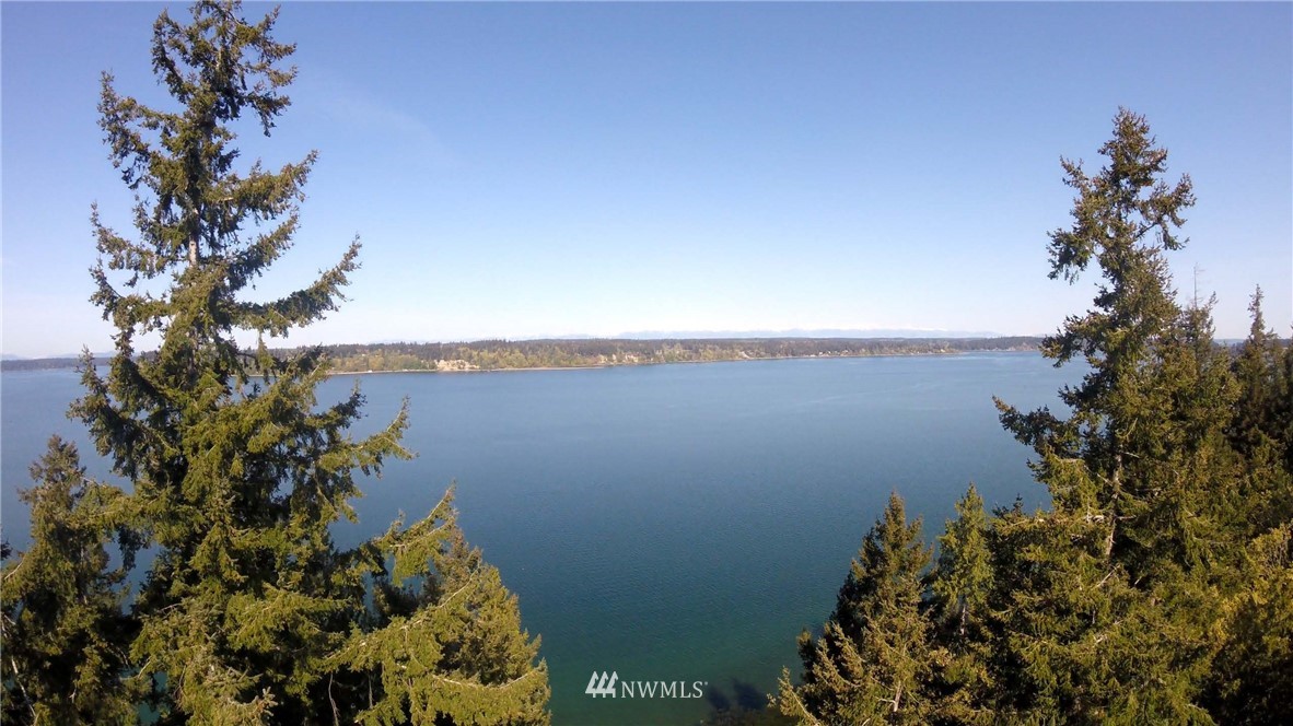 9706 Steffensen Road Anderson Island, WA 98303 - Photo 3 of 25