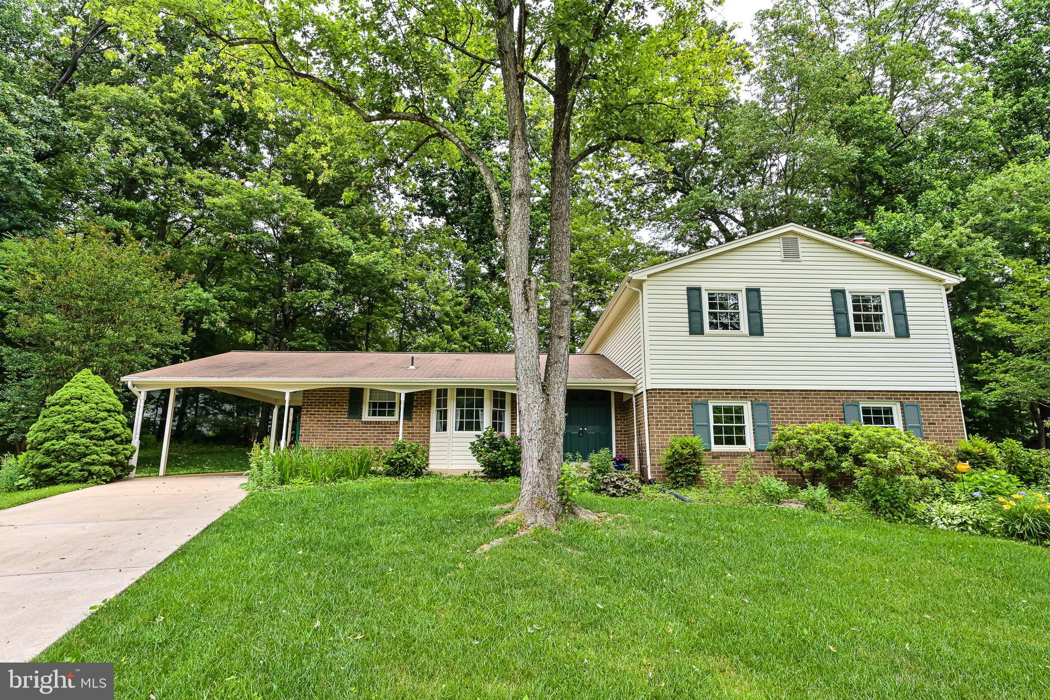 7025 Spaniel Road Springfield, VA 22153 - Photo 3 of 48