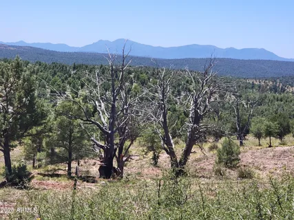 $167,500 | 41-42 Antelope Trail Road, Unit 41 & 42, Payson, AZ 85541