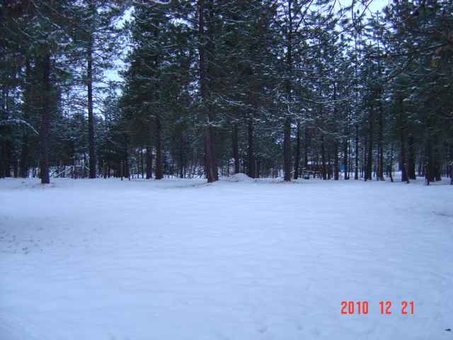20417 North Thor Road Colbert, WA 99005 - Photo 8 of 9