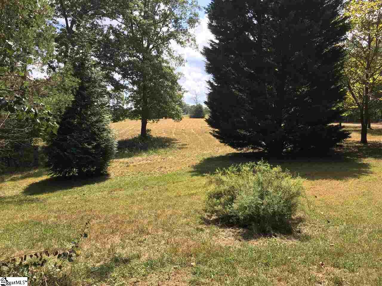 460 State Rd S-42-7057 Campobello, SC 29322 - Photo 16 of 22 Gallery Image 16