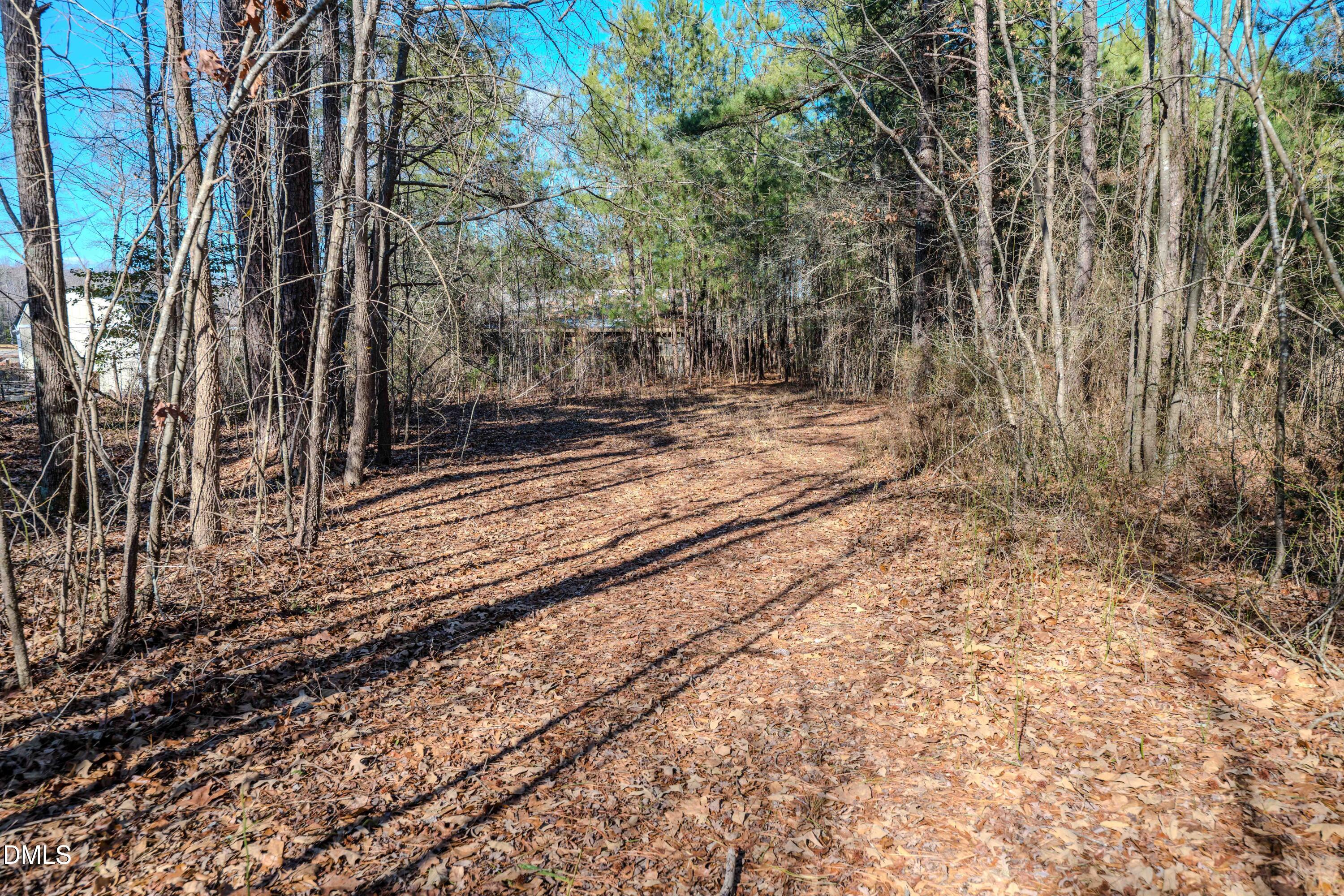 6724 Wimberly Road Willow Spring, NC 27592 - Photo 26 of 36 a view of a yard with trees
