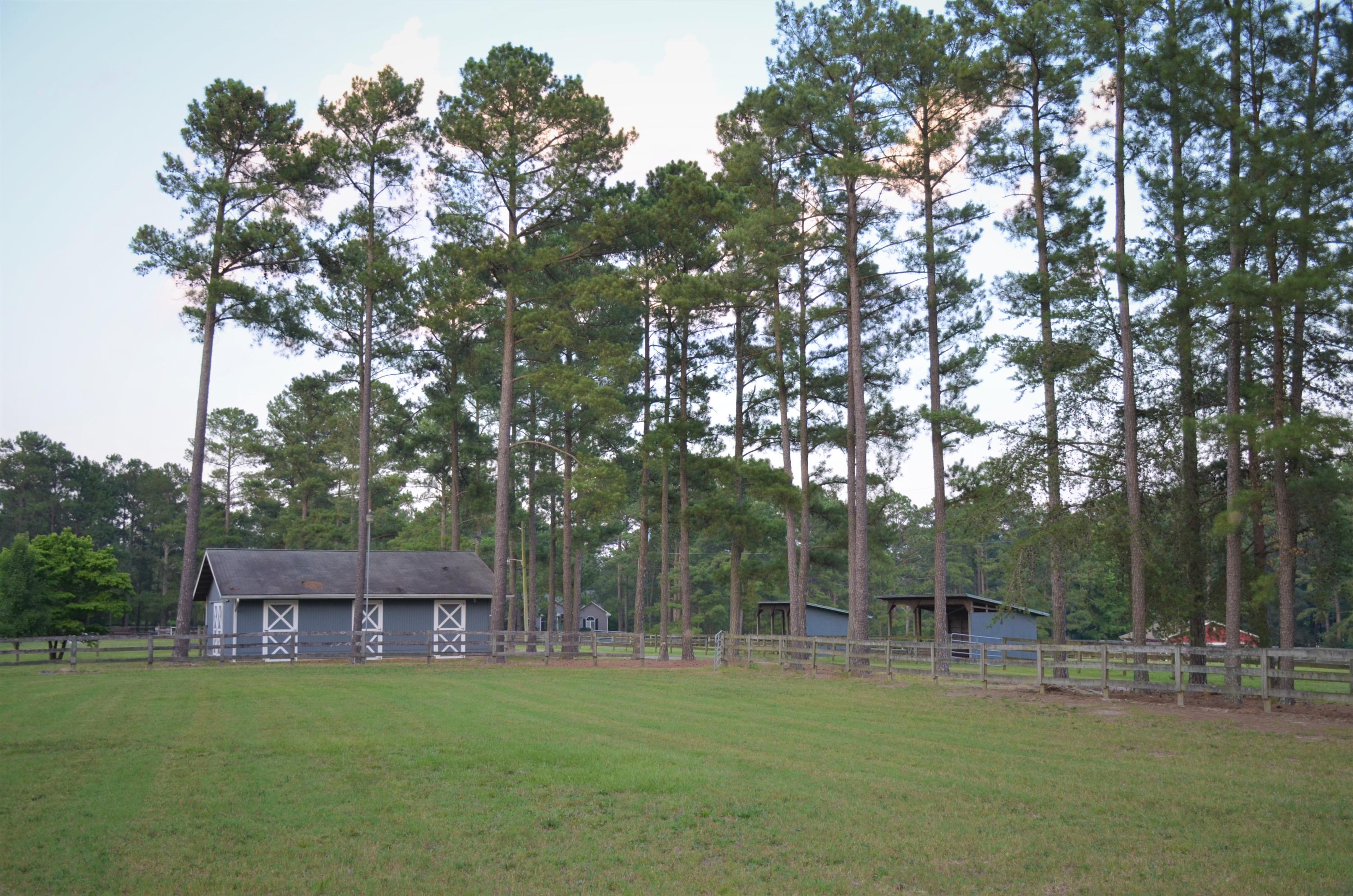 341 Napier Road Carthage, NC 28327 - Photo 45 of 57 DSC_0019 (2)