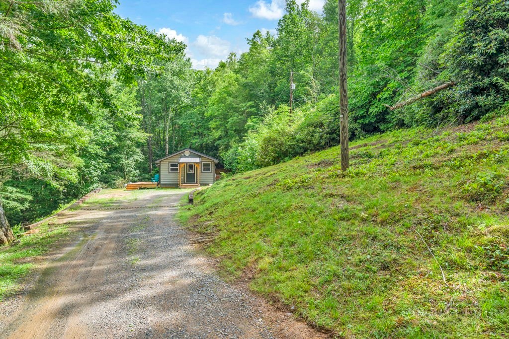 166 Charlie Hicks Road Banner Elk, NC 28604 - Photo 11 of 38