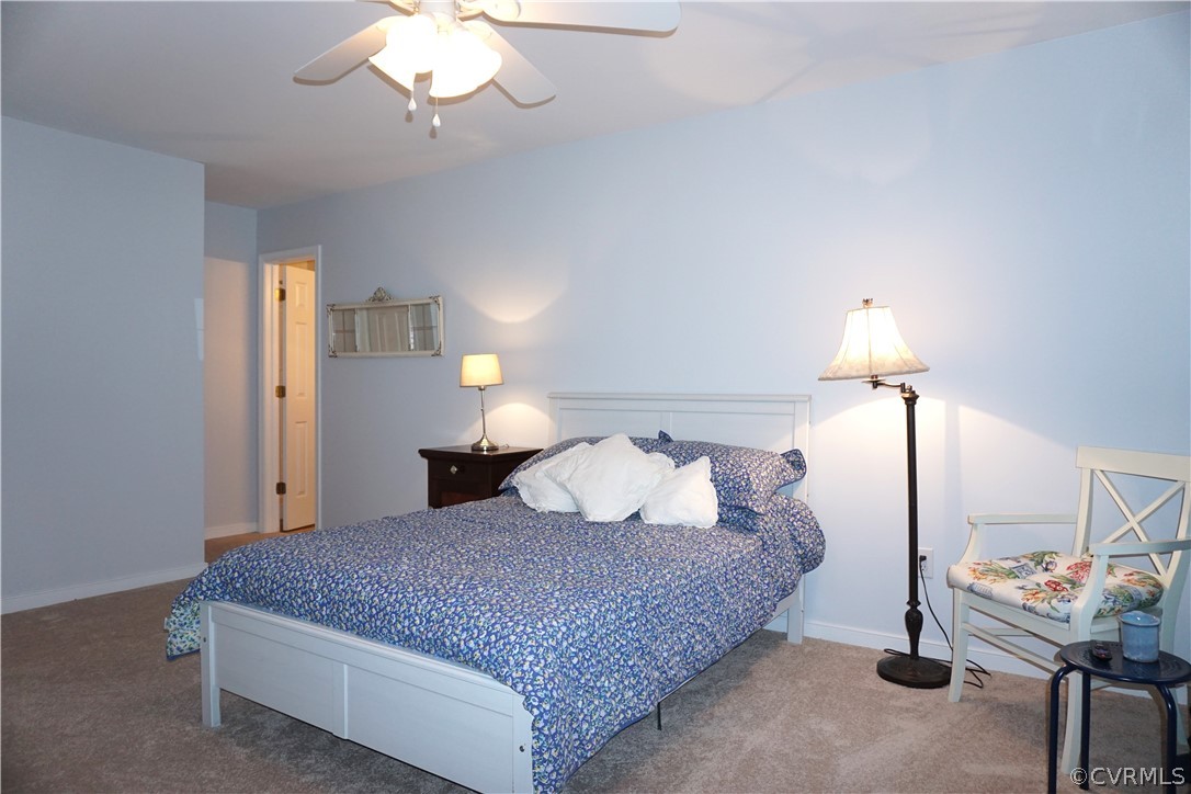 504 Henry Clay Road Ashland, VA 23005 - Photo 17 of 48 New Carpet