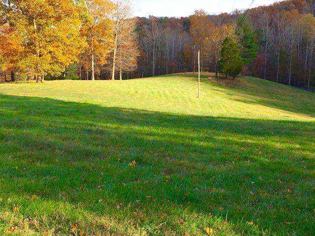 2611 Lees Gap Road Fincastle, VA 24090 - Photo 11 of 40 Tranquil