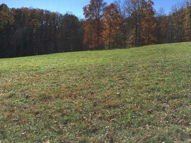 2611 Lees Gap Road Fincastle, VA 24090 - Photo 35 of 40 Lees Gap Land