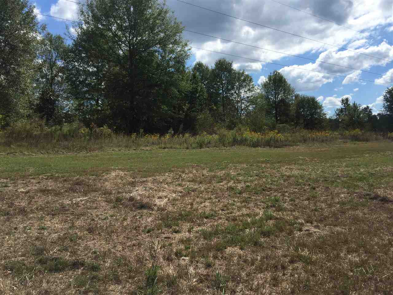 0 Raygon Lane Brandon, MS 39042 - Photo 1 of 2 Photo 1