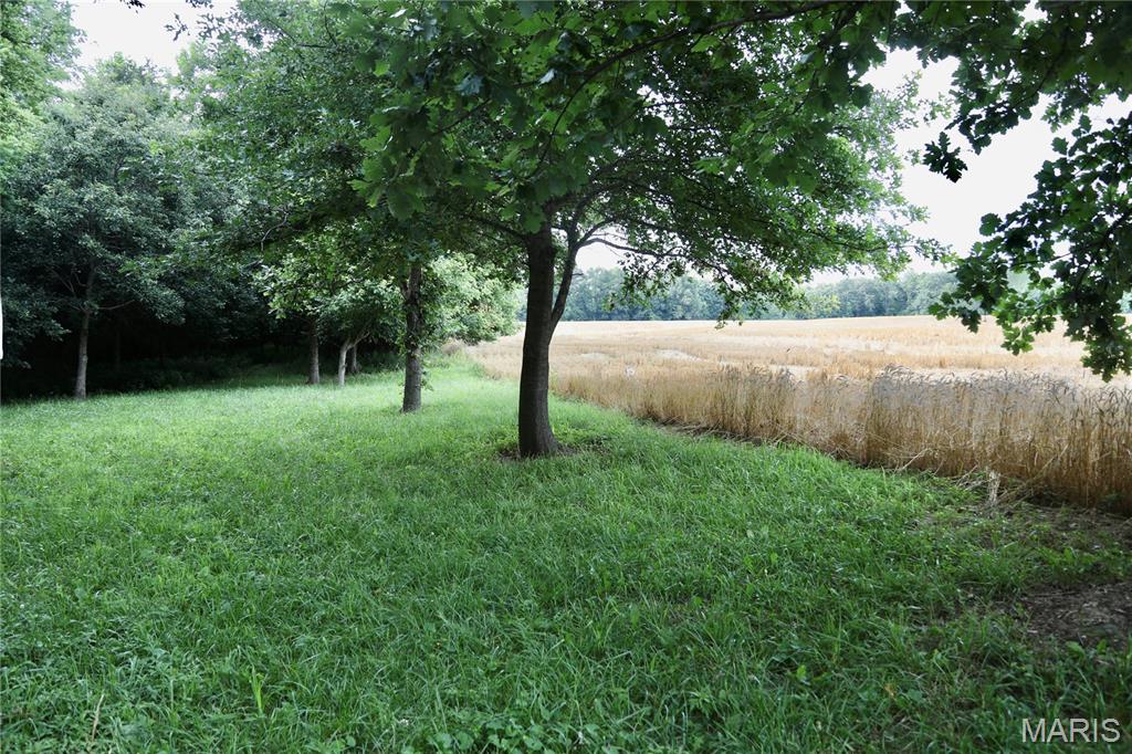 0 Church Road Salem, IL 62881 - Photo 14 of 29