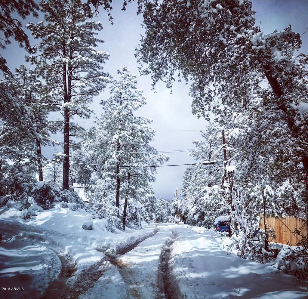 3943 Bloody Basin Road Pine, AZ 85544 - Photo 17 of 17 snowy day