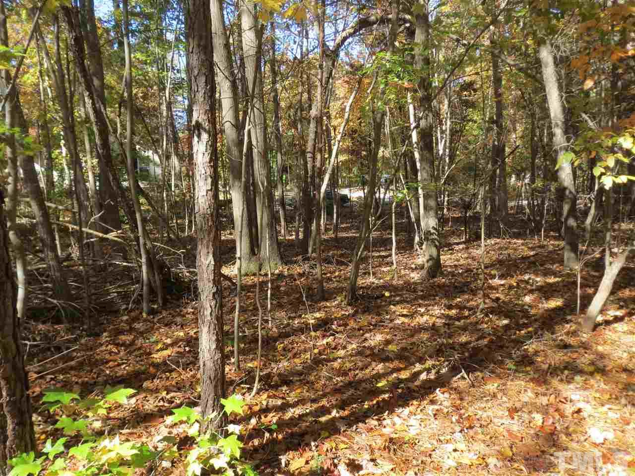 Lot 5 Kiser Hicks Road Roxboro, NC 27574 - Photo 4 of 6