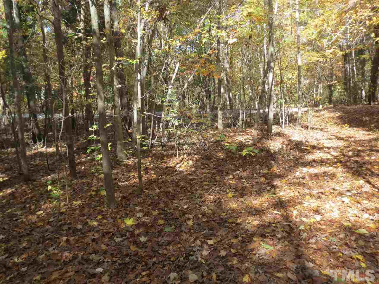 Lot 5 Kiser Hicks Road Roxboro, NC 27574 - Photo 6 of 6