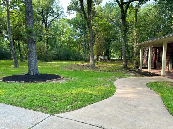 a view of a park with a tree