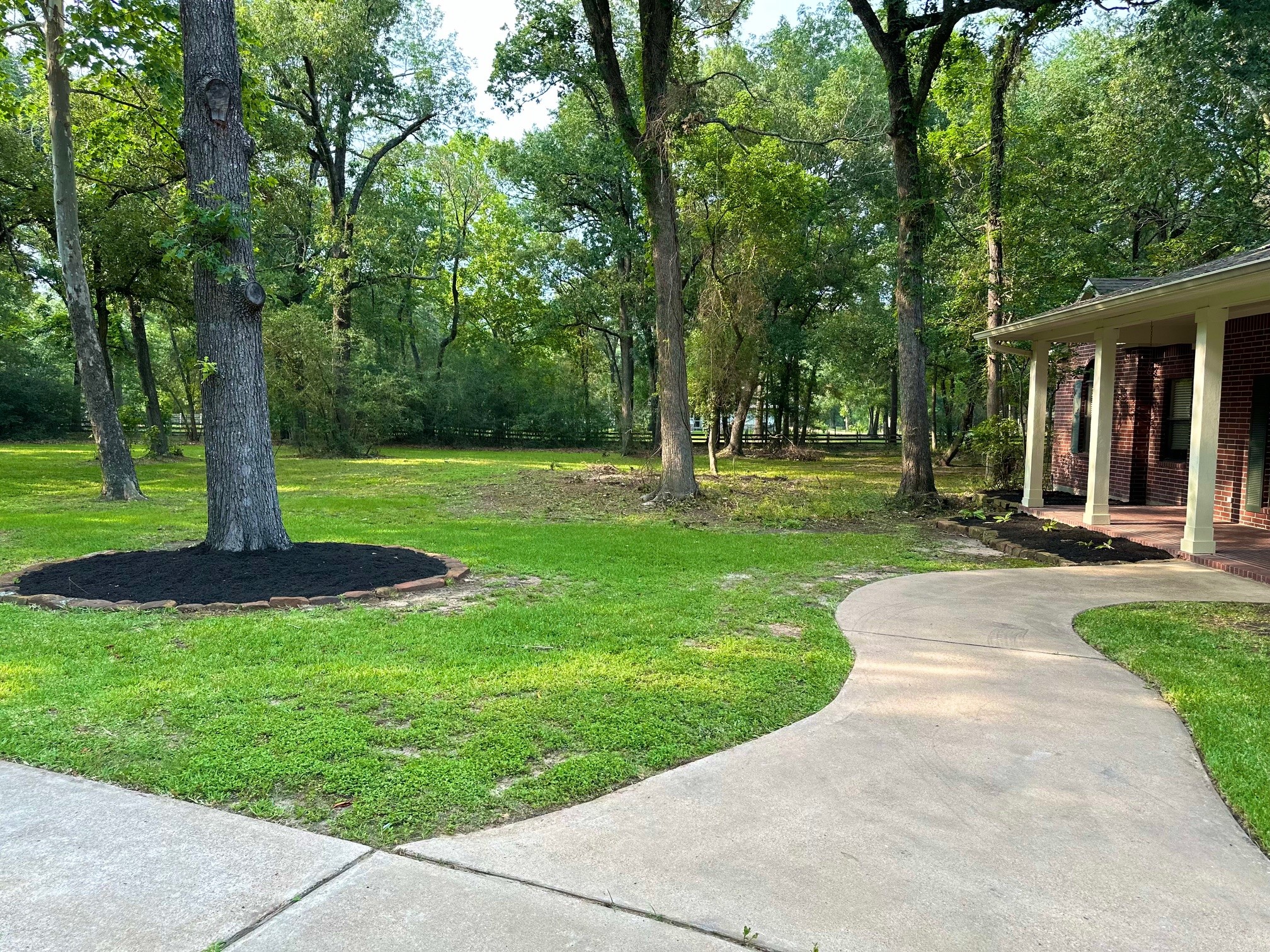 15567 Old Conroe Road Conroe, TX 77384 - Photo 11 of 31 a view of a park with a tree