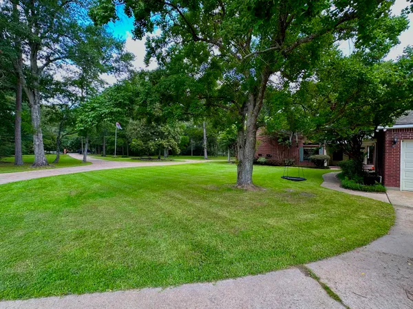 a view of a trees with a big yard