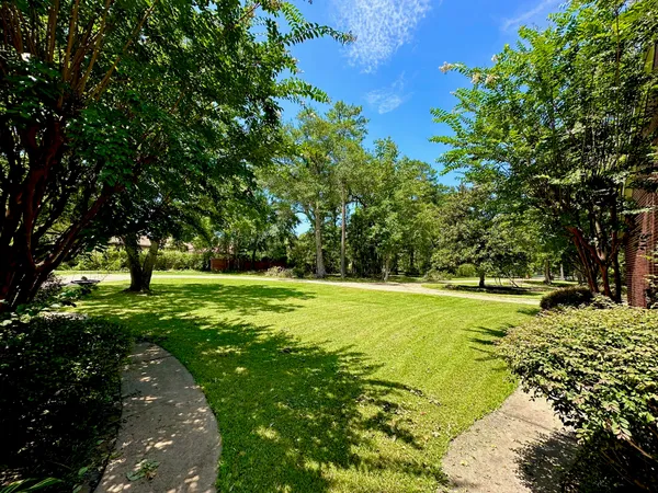 a view of a park with large trees