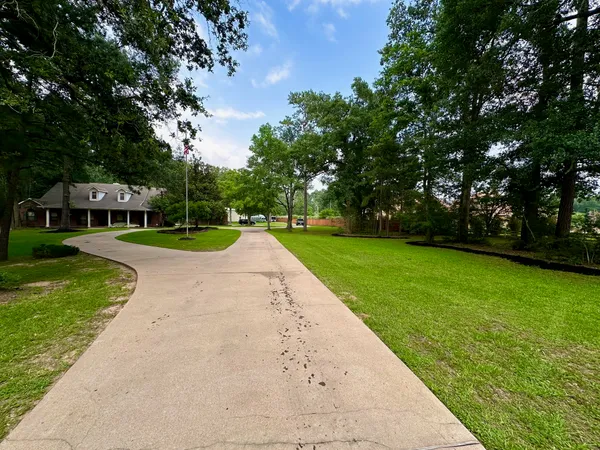 a view of a park with large trees