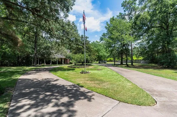 a view of a park with large trees