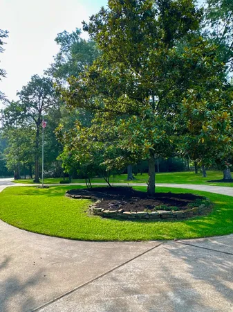 a view of a park