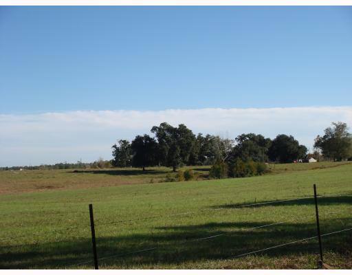 12801 Seaman Road Vancleave, MS 39565 - Photo 1 of 8 Primary Photo
