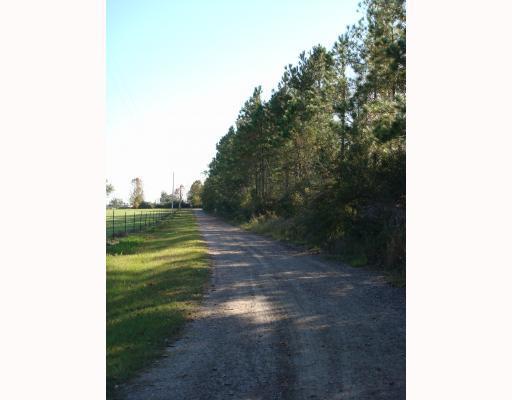 12801 Seaman Road Vancleave, MS 39565 - Photo 7 of 8 Additional Photo
