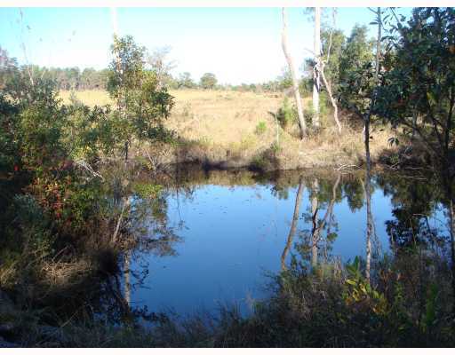 12801 Seaman Road Vancleave, MS 39565 - Photo 8 of 8 Additional Photo