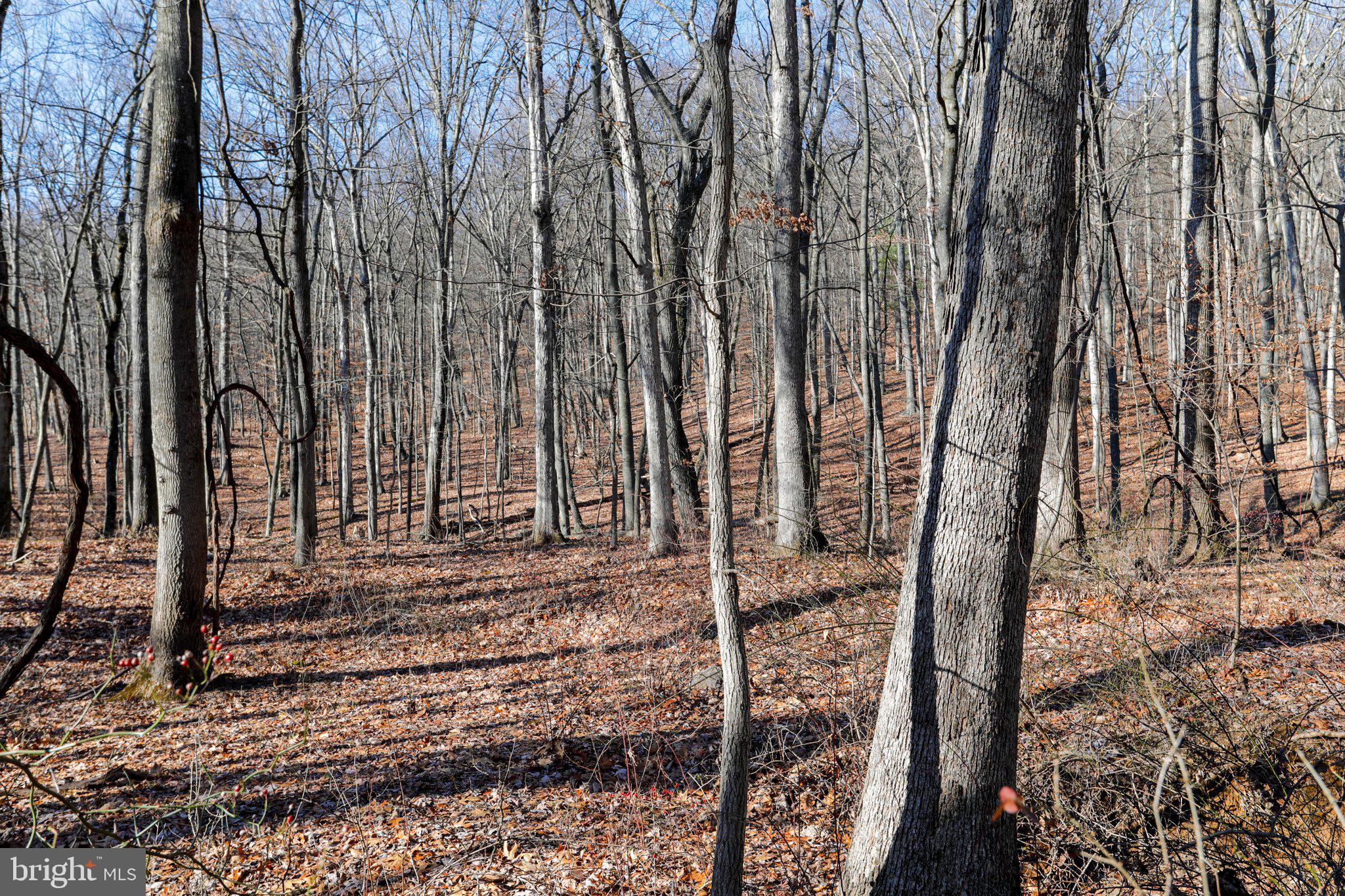 11 National Pike Clear Spring, MD 21722 - Photo 1 of 20