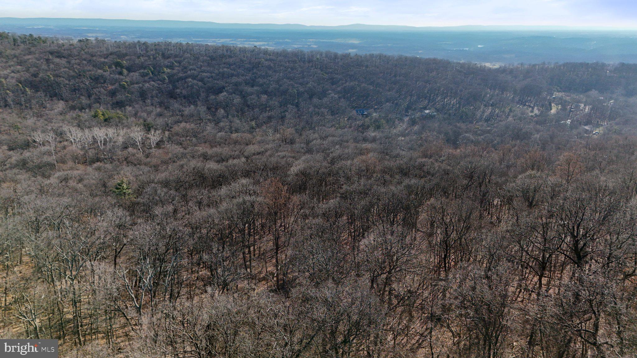 11 National Pike Clear Spring, MD 21722 - Photo 15 of 20