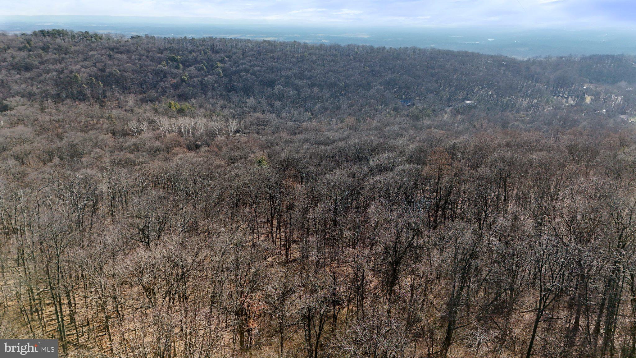 11 National Pike Clear Spring, MD 21722 - Photo 16 of 20