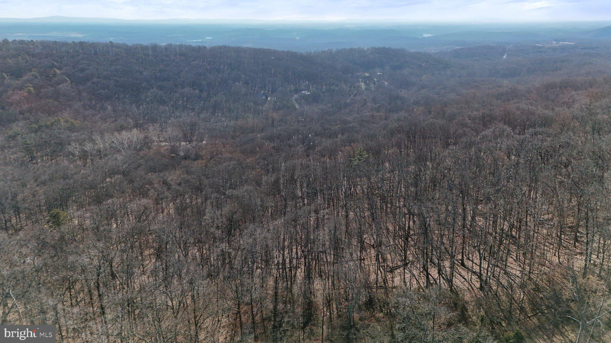 11 National Pike Clear Spring, MD 21722 - Photo 17 of 20