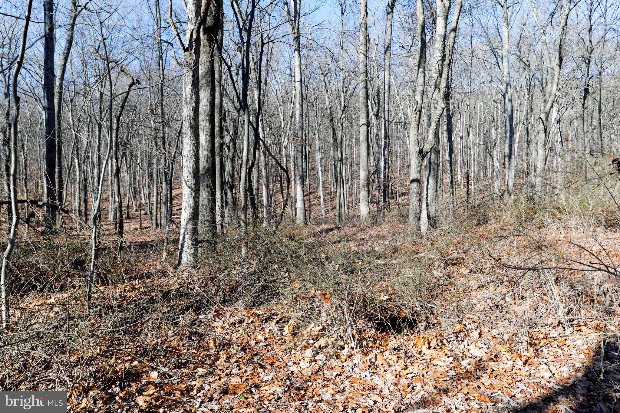11 National Pike Clear Spring, MD 21722 - Photo 2 of 20