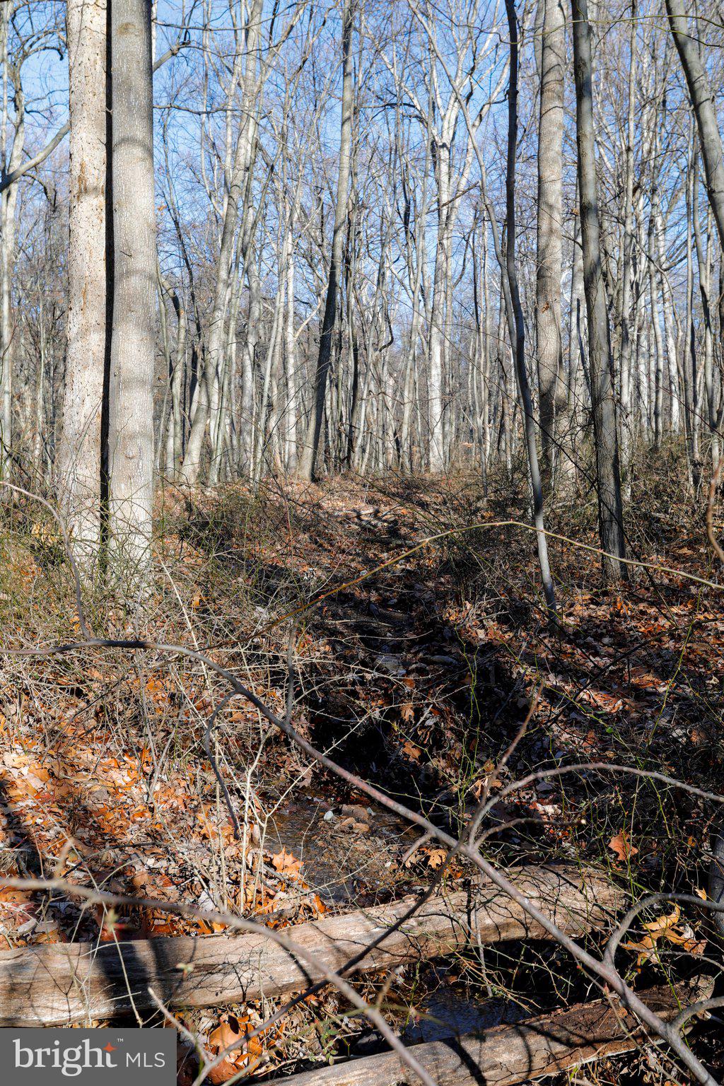 11 National Pike Clear Spring, MD 21722 - Photo 3 of 20