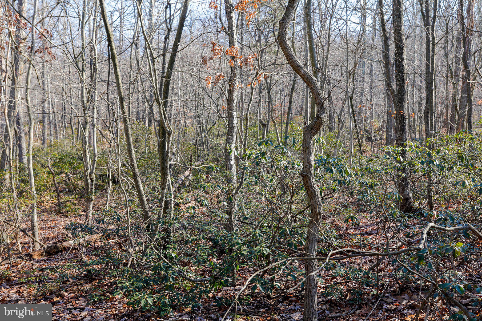 11 National Pike Clear Spring, MD 21722 - Photo 4 of 20