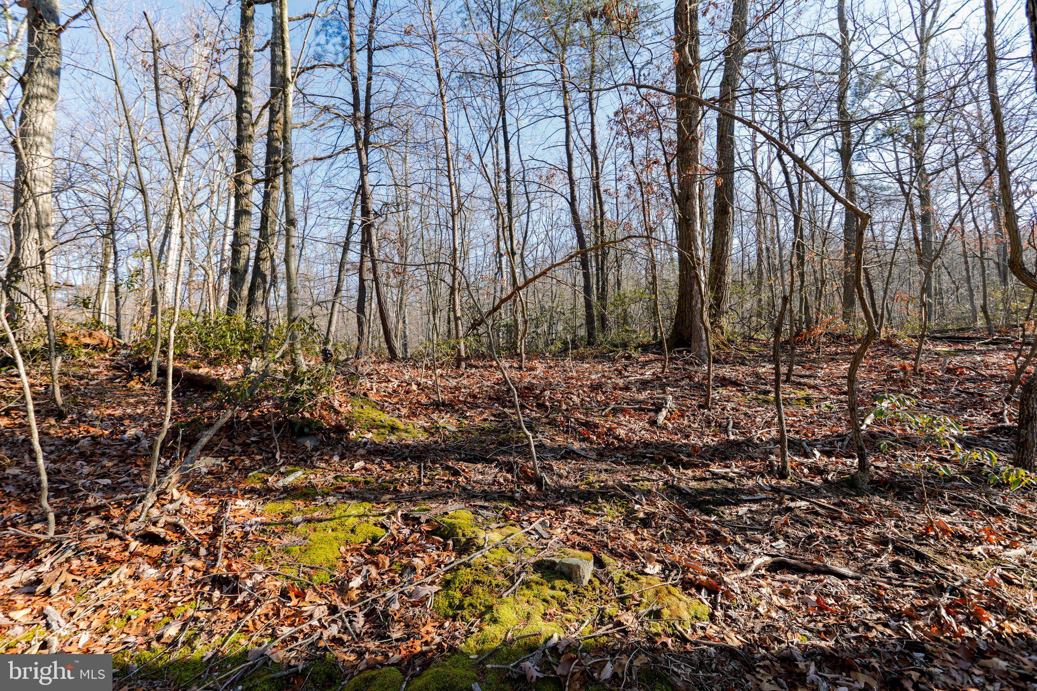 11 National Pike Clear Spring, MD 21722 - Photo 5 of 20