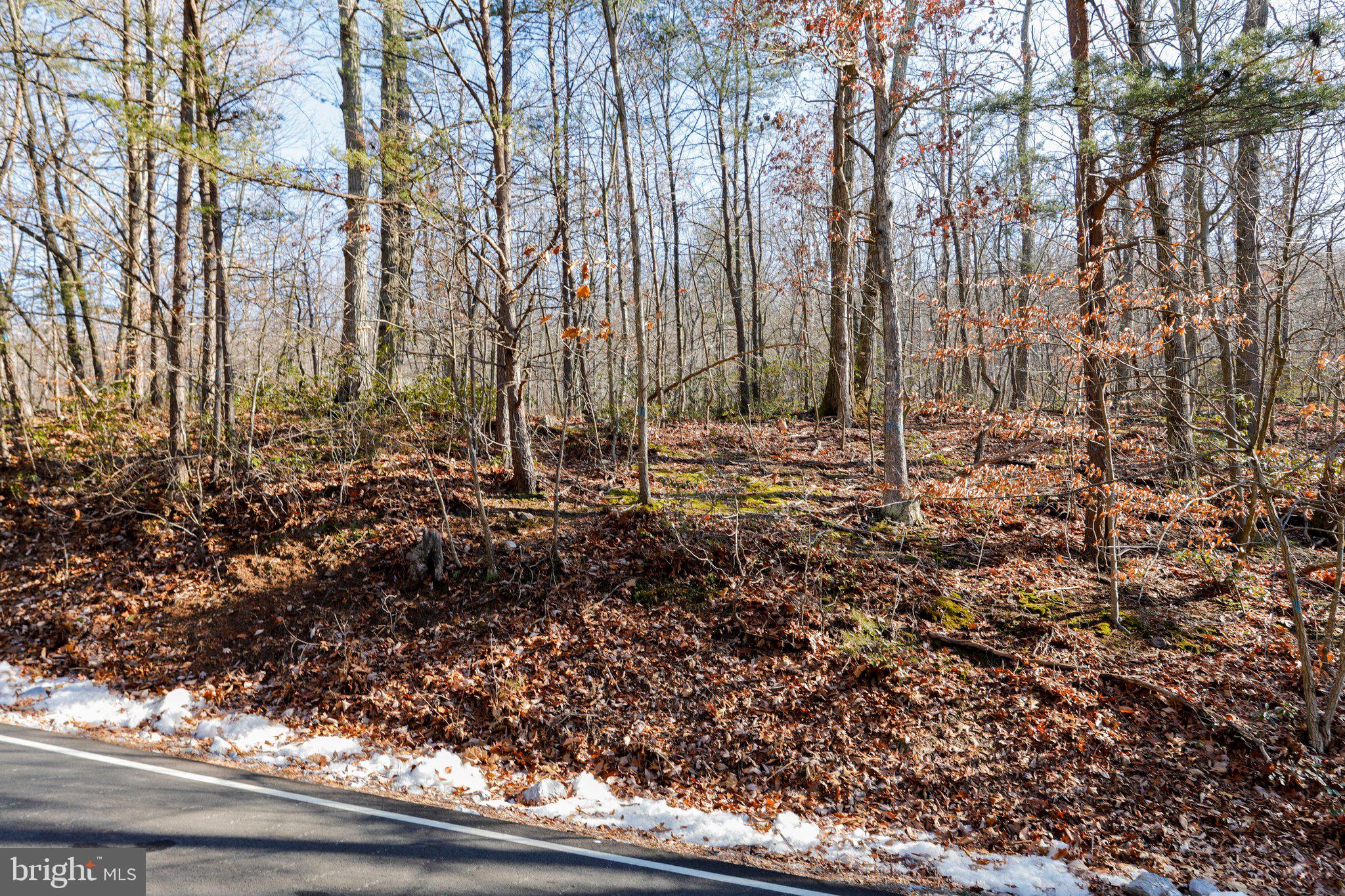 11 National Pike Clear Spring, MD 21722 - Photo 6 of 20